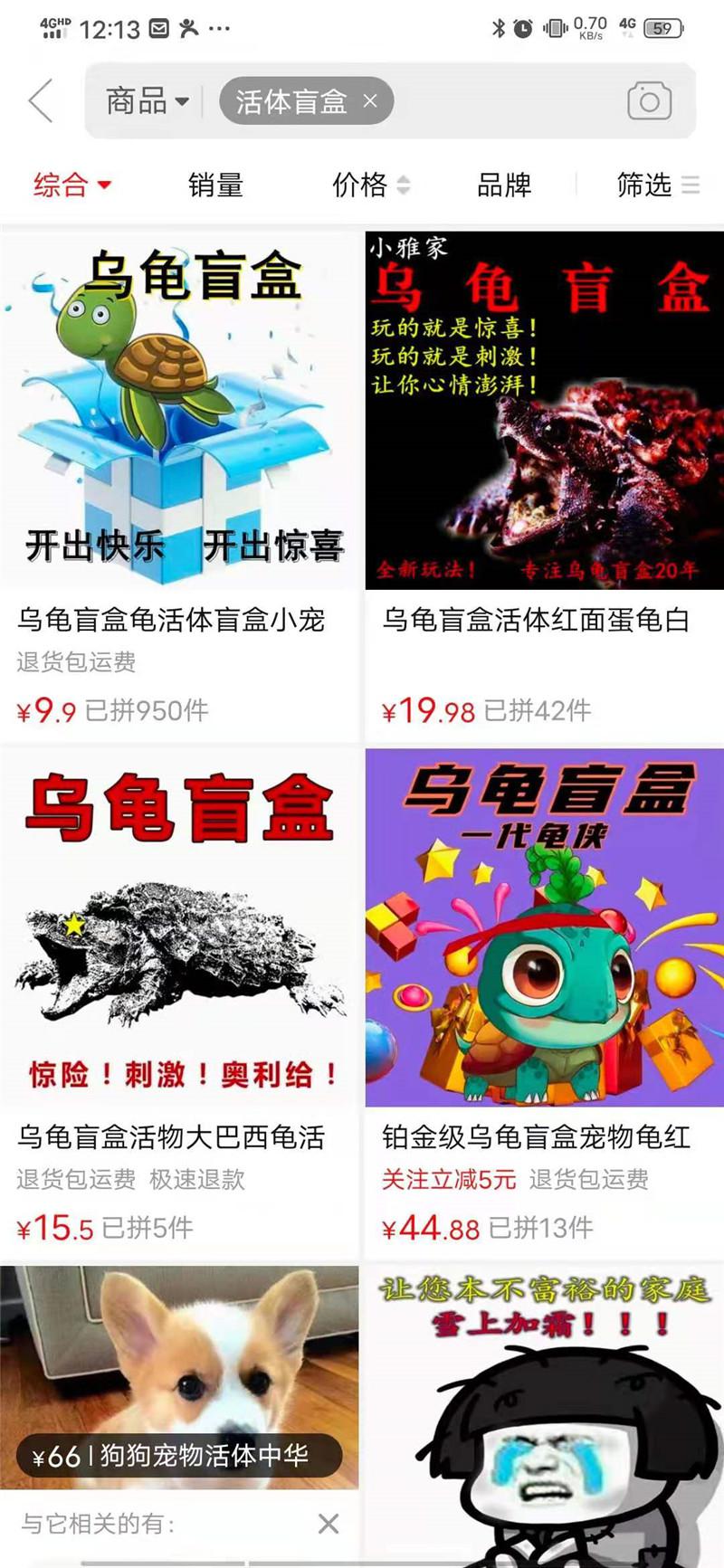 网购平台售卖“宠物盲盒”，不能退换还不能给中差评？