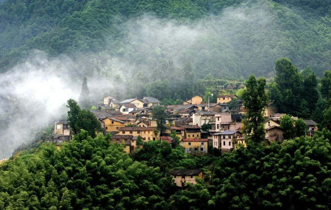 周末不涨价，300+睡浙南百年老宅，独揽1600㎡庭院，还赠汉服拍摄