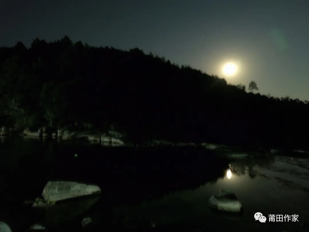 鲤湖雅集全景图,鲤湖雅集视频大全