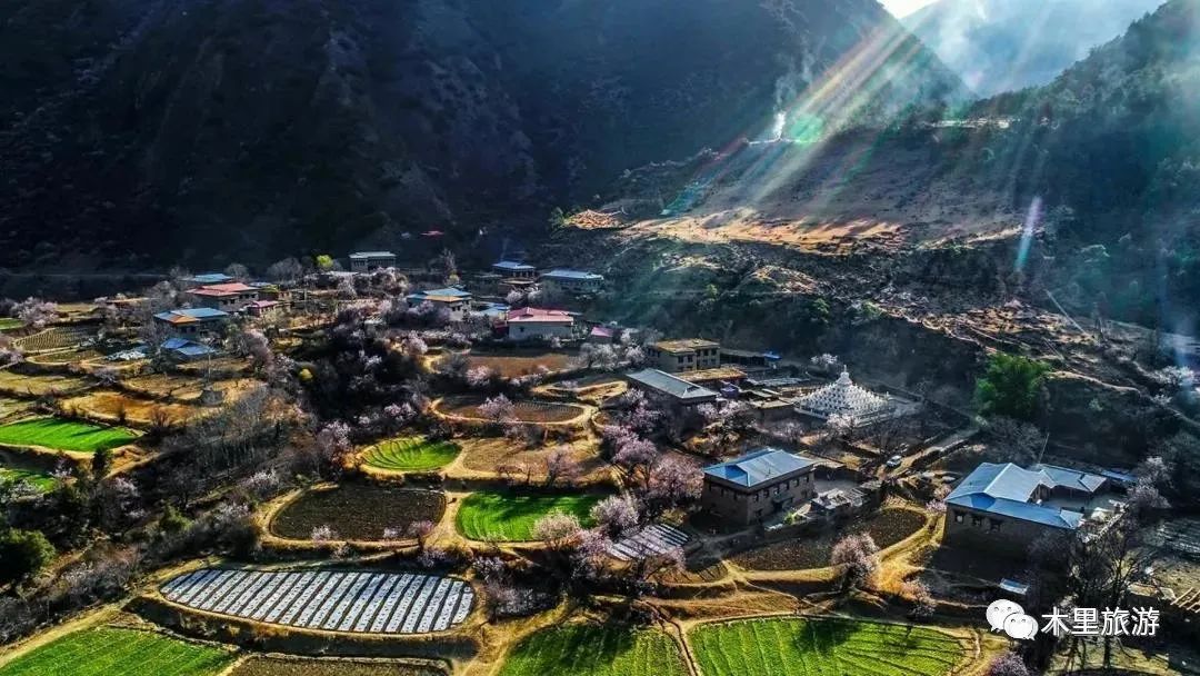 美丽乡村走进澄迈,美丽乡村桃花坪村