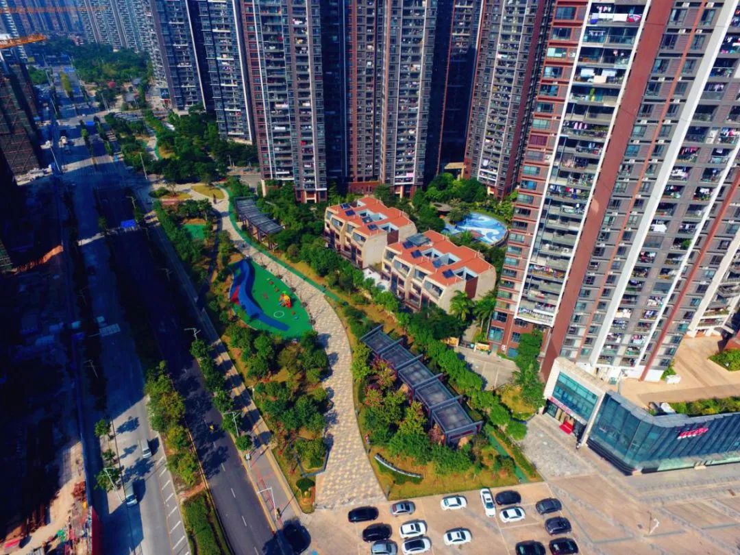 [春节留深]龙华游园攻略之民治街道篇