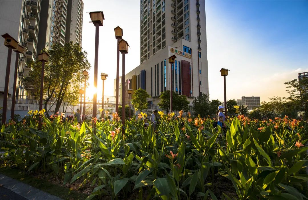 [春节留深]龙华游园攻略之民治街道篇