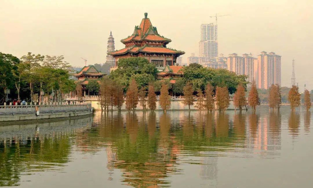 1月最美的佛山藏在这里！全部免费赏！