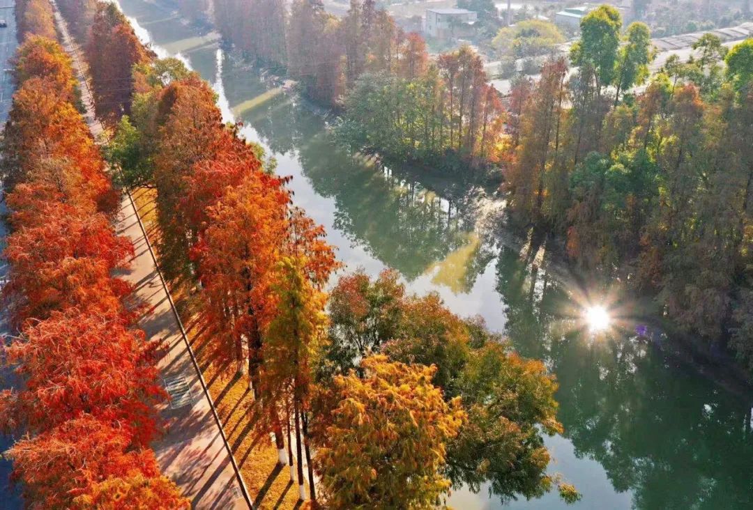 1月最美的佛山藏在这里！全部免费赏！