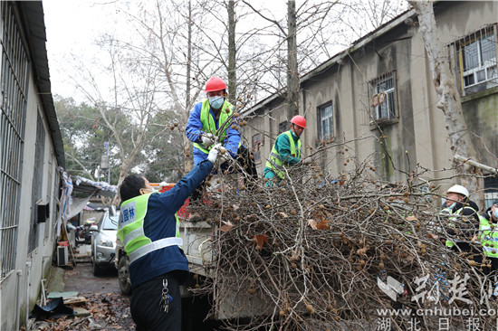 洪山园林绿色服务进社区助力老旧小区焕新颜