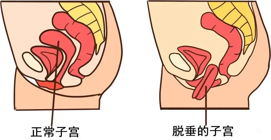 如果你老了会怎样,假如你老了你会怎么样