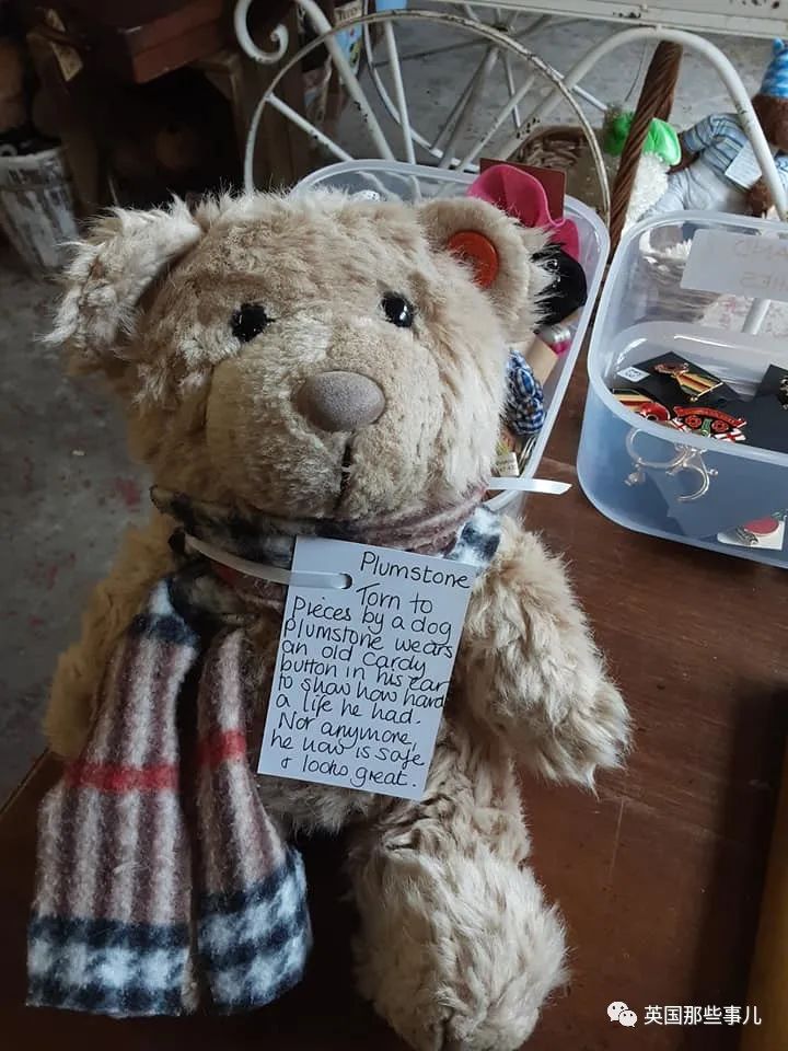 她治好12500只泰迪熊,用毛绒绒治愈自己和无数人…