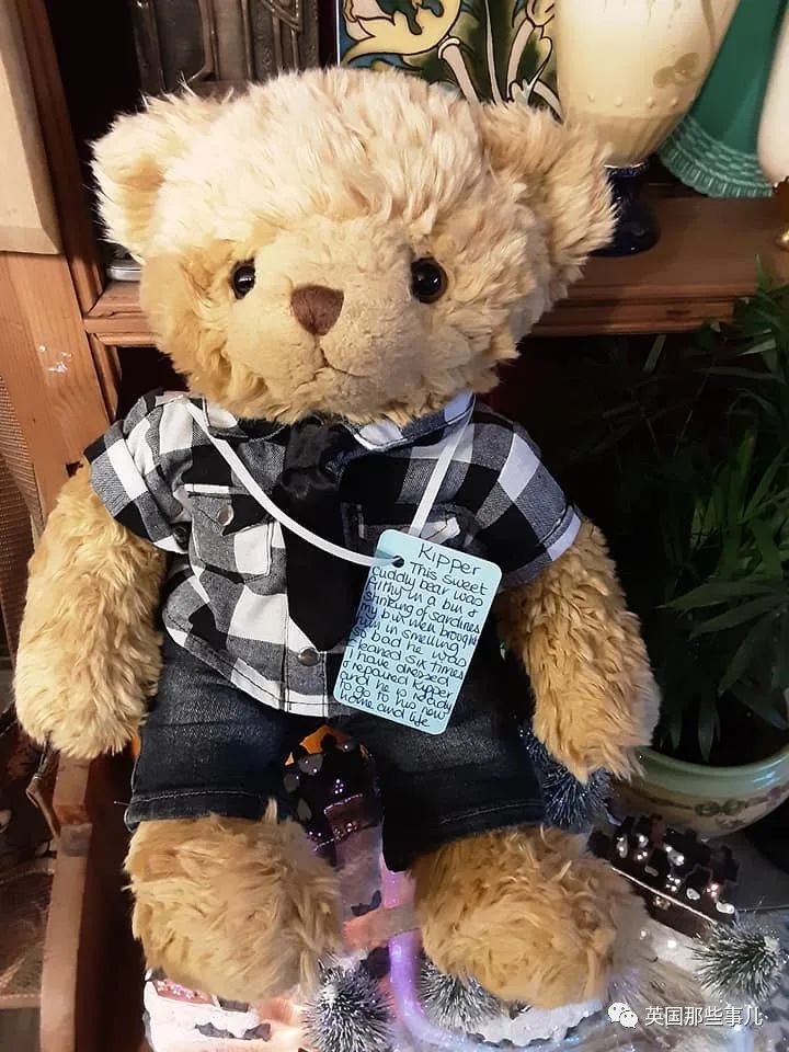 她治好12500只泰迪熊,用毛绒绒治愈自己和无数人…