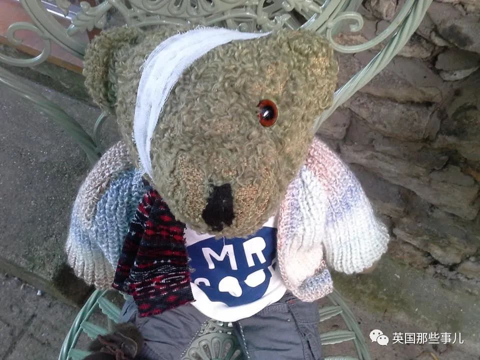 她治好12500只泰迪熊,用毛绒绒治愈自己和无数人…