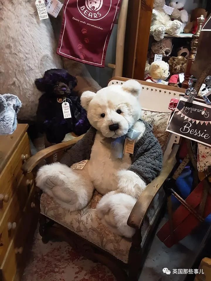 她治好12500只泰迪熊,用毛绒绒治愈自己和无数人…