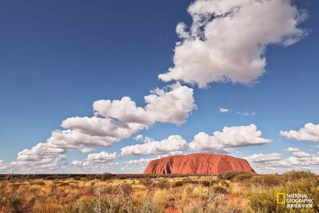 澳洲心脏病,澳大利亚心血管科发达吗