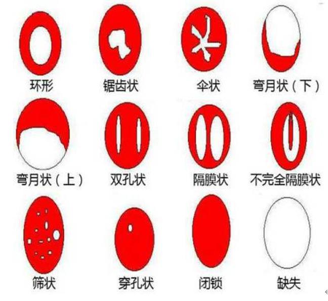 用“卫生棉条”，就不是好女孩了？