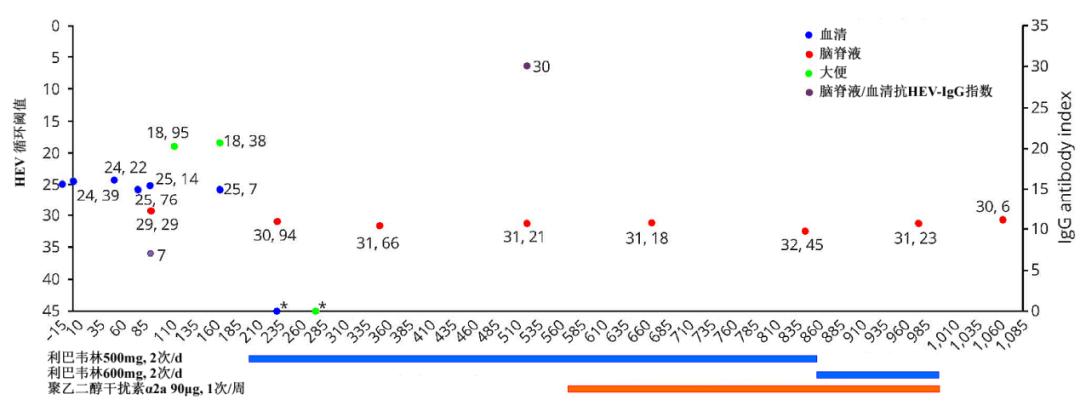 戊肝病毒感染能治好吗,戊型肝炎病毒感染机制原理