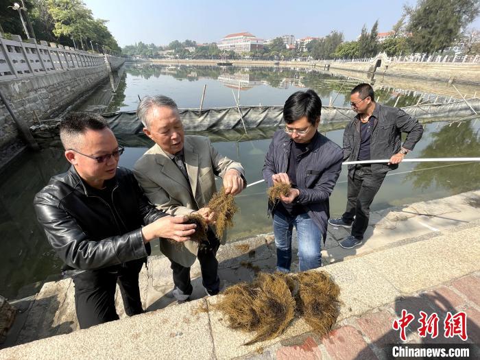陈嘉庚集美学村纪录片完整版,陈嘉庚厦门集美鳌园