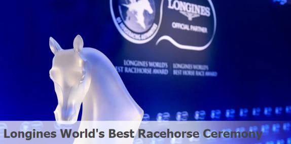 全球最帅马匹排行,世界赛马马王排行榜第一