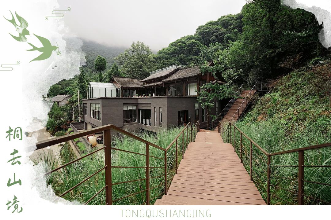青城山开了家很网红的民宿,民宿探店成都