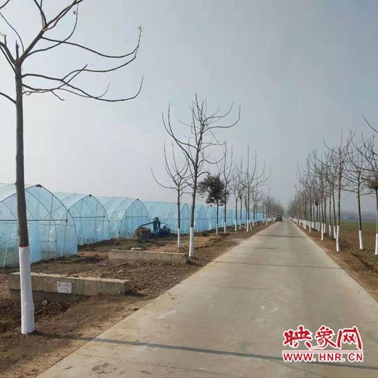 鐜嬮獮閮忓幙,閮忓幙杩斾埂鍒涗笟