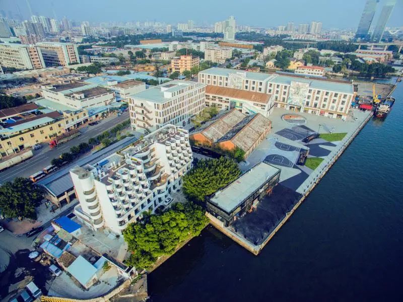 花城政能量丨有干货！海珠区这么做，村民经济效益大提升