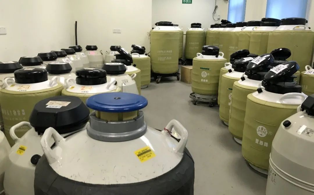 全国人类精子库分别在哪,探访人类精子库捐献过程如何