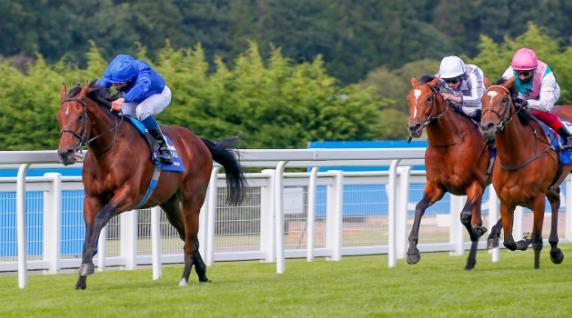 全球最帅马匹排行,世界赛马马王排行榜第一