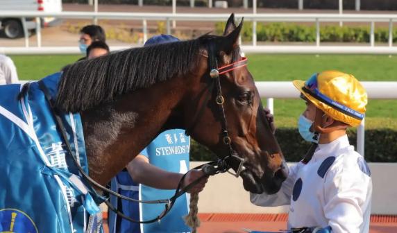 全球最帅马匹排行,世界赛马马王排行榜第一