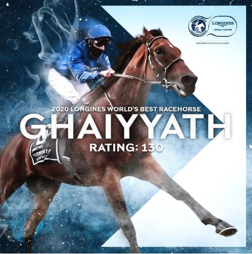 全球最帅马匹排行,世界赛马马王排行榜第一