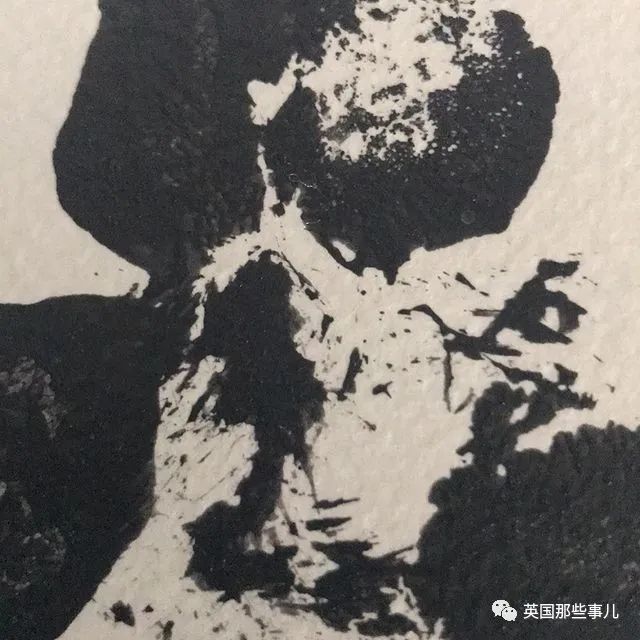 世界上最高大的狗身高达到24米,世界上最高的80米的狗