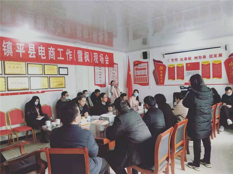 机遇蕴含精彩，合作铸就辉煌——镇平县召开电商工作（雪枫）现场会