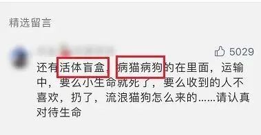 上海一女子超市偷4000元巧克力,一女子上网抽盲盒被骗