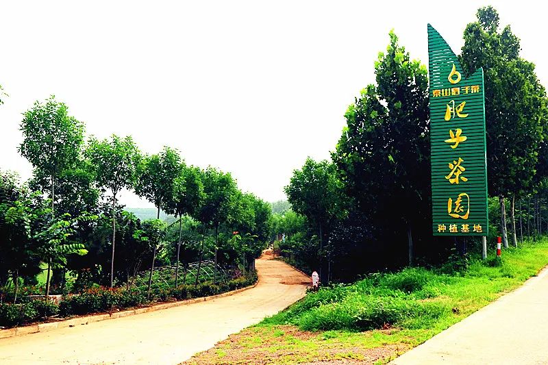 84家a级景区恢复迎客,新增一家国家aaaa级旅游景区