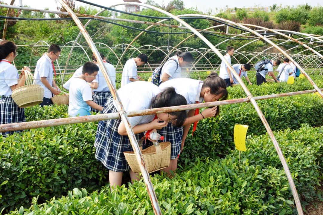 84家a级景区恢复迎客,新增一家国家aaaa级旅游景区