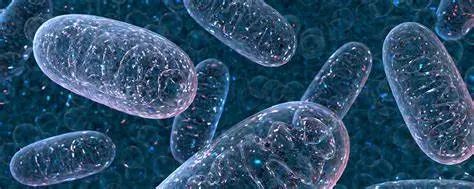 21天不间断测评,21天全测评