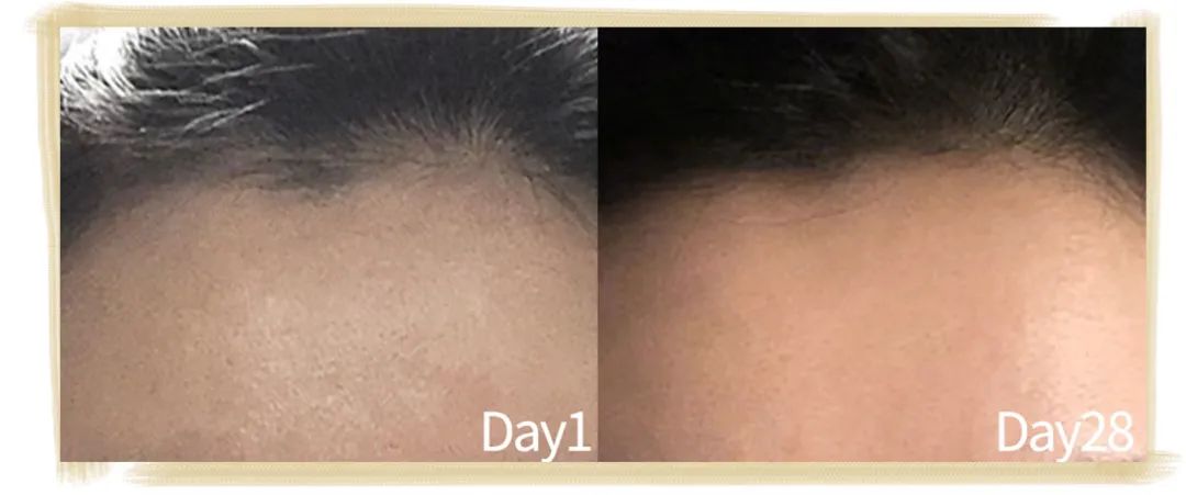 21天不间断测评,21天全测评