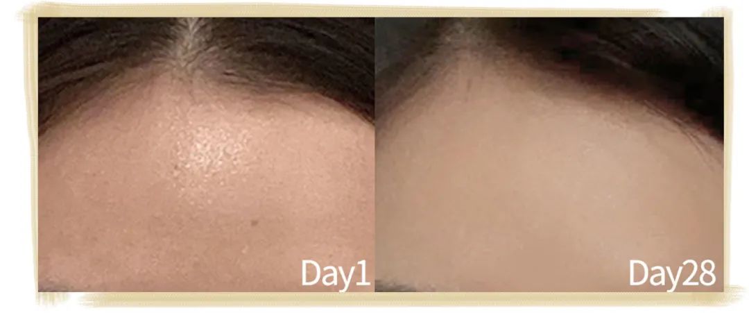 21天不间断测评,21天全测评