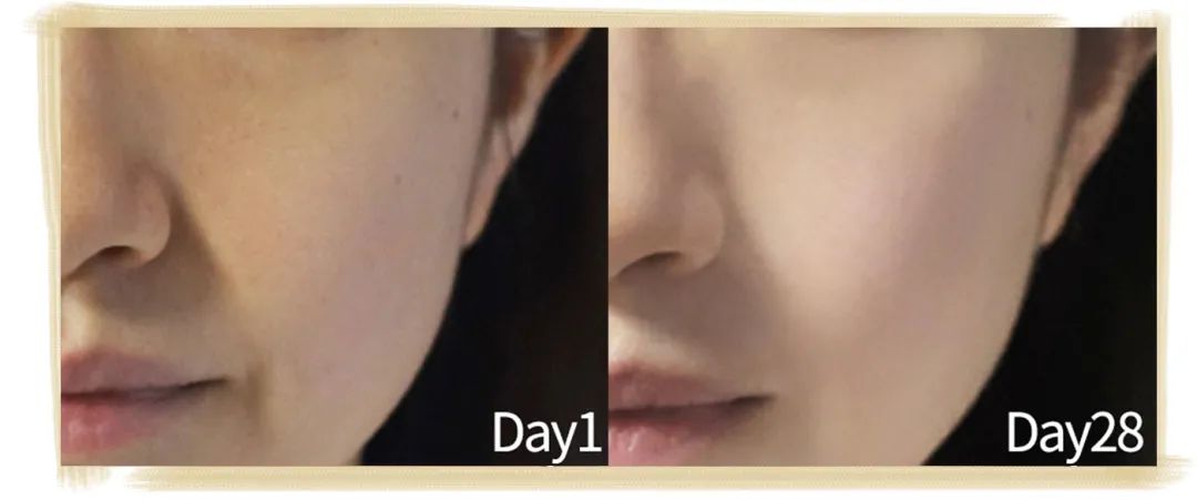 21天不间断测评,21天全测评