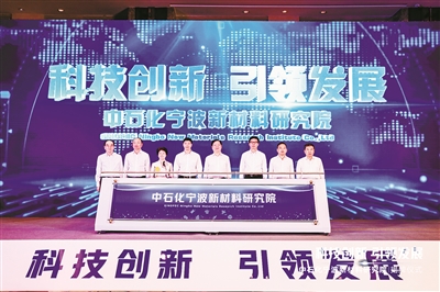 镇海区建设,镇海新材料科技城建设效果