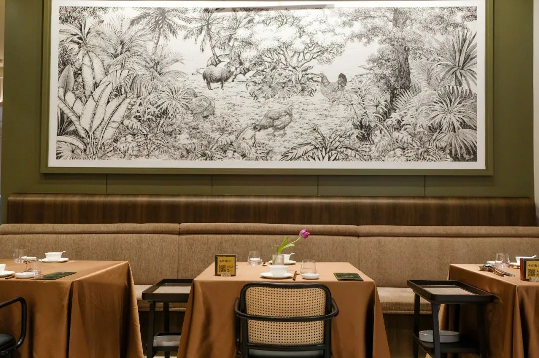 让成都的花胶鲍鱼鸡一姐，给你们讲哈小红袍的故事