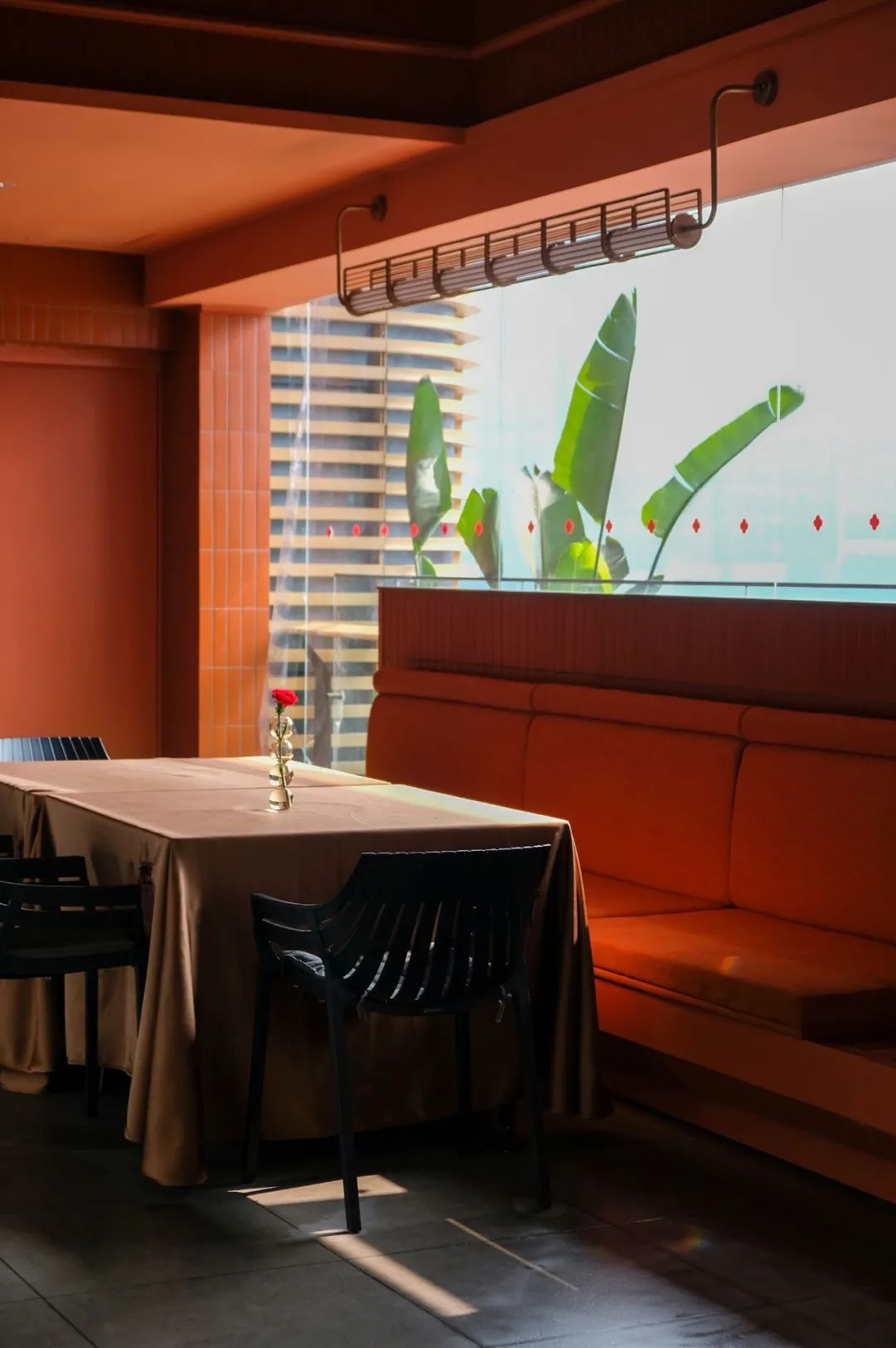 让成都的花胶鲍鱼鸡一姐，给你们讲哈小红袍的故事