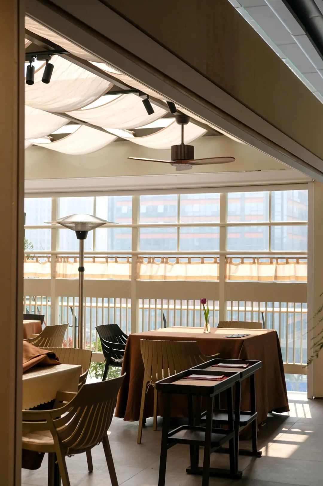 让成都的花胶鲍鱼鸡一姐，给你们讲哈小红袍的故事