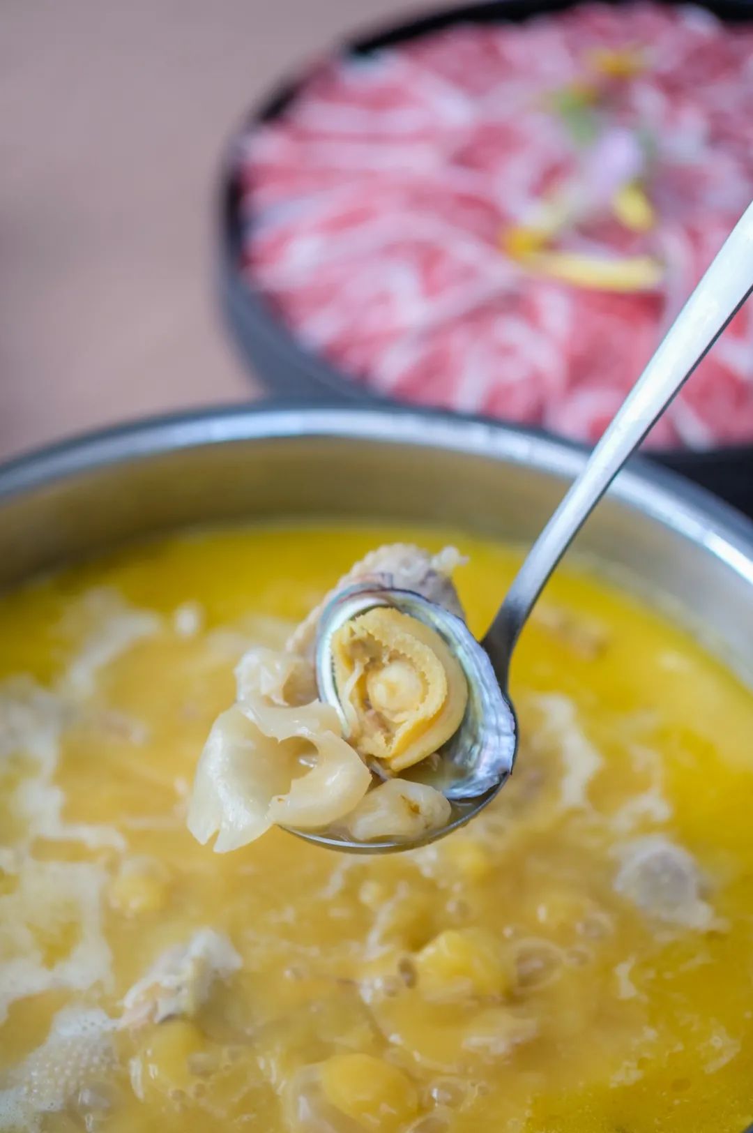 让成都的花胶鲍鱼鸡一姐，给你们讲哈小红袍的故事