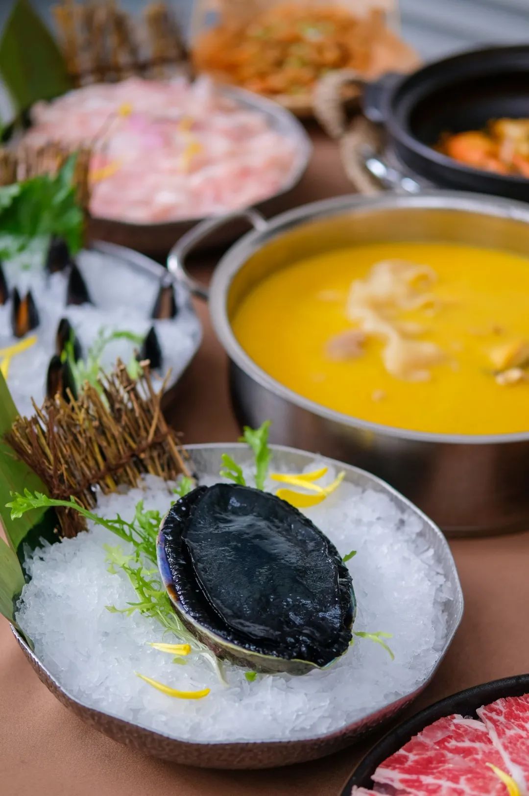 让成都的花胶鲍鱼鸡一姐，给你们讲哈小红袍的故事