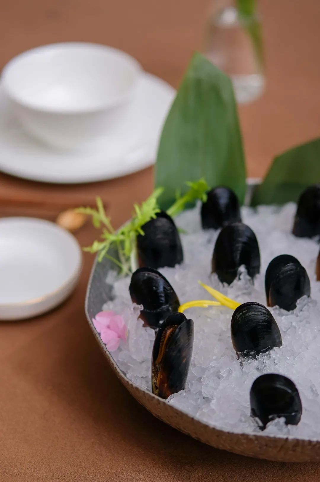 让成都的花胶鲍鱼鸡一姐，给你们讲哈小红袍的故事