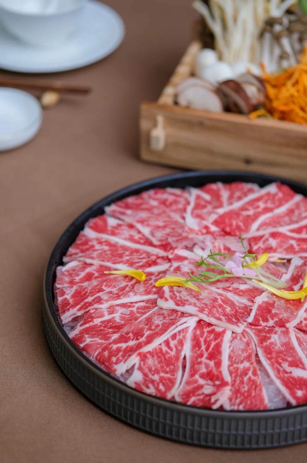 让成都的花胶鲍鱼鸡一姐，给你们讲哈小红袍的故事