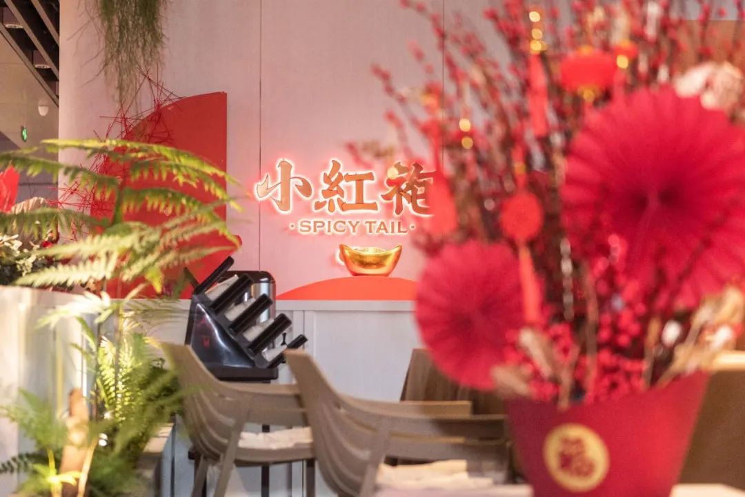 让成都的花胶鲍鱼鸡一姐，给你们讲哈小红袍的故事