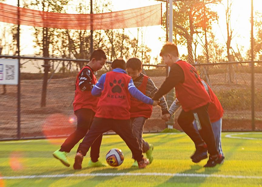 寒假学乒乓球,寒假学轮滑好吗