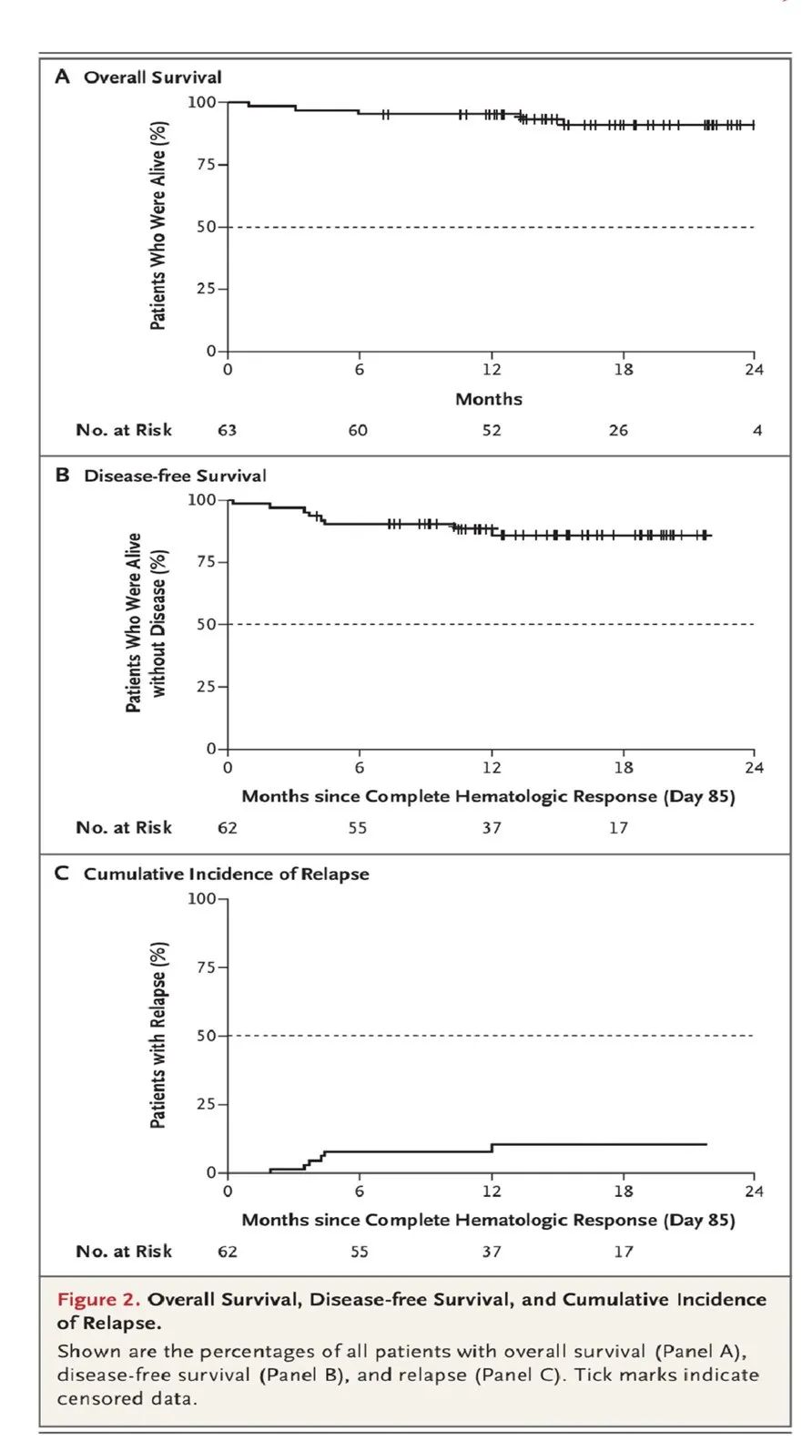 无化疗治疗儿童视频,成人ph阳性急性淋巴细胞白血病