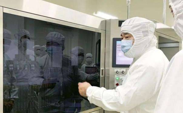 海外科技揽要2月2日丨俄科学家培育出可改善阿尔茨海默氏症和帕金森病的小麦品种