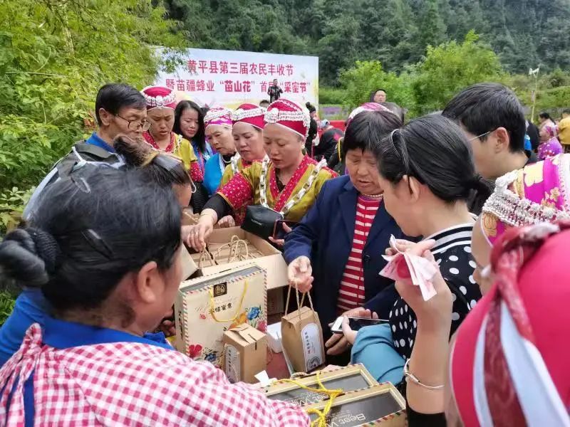 贵州黄平：林下经济产业旺，唱响“山”歌增收曲