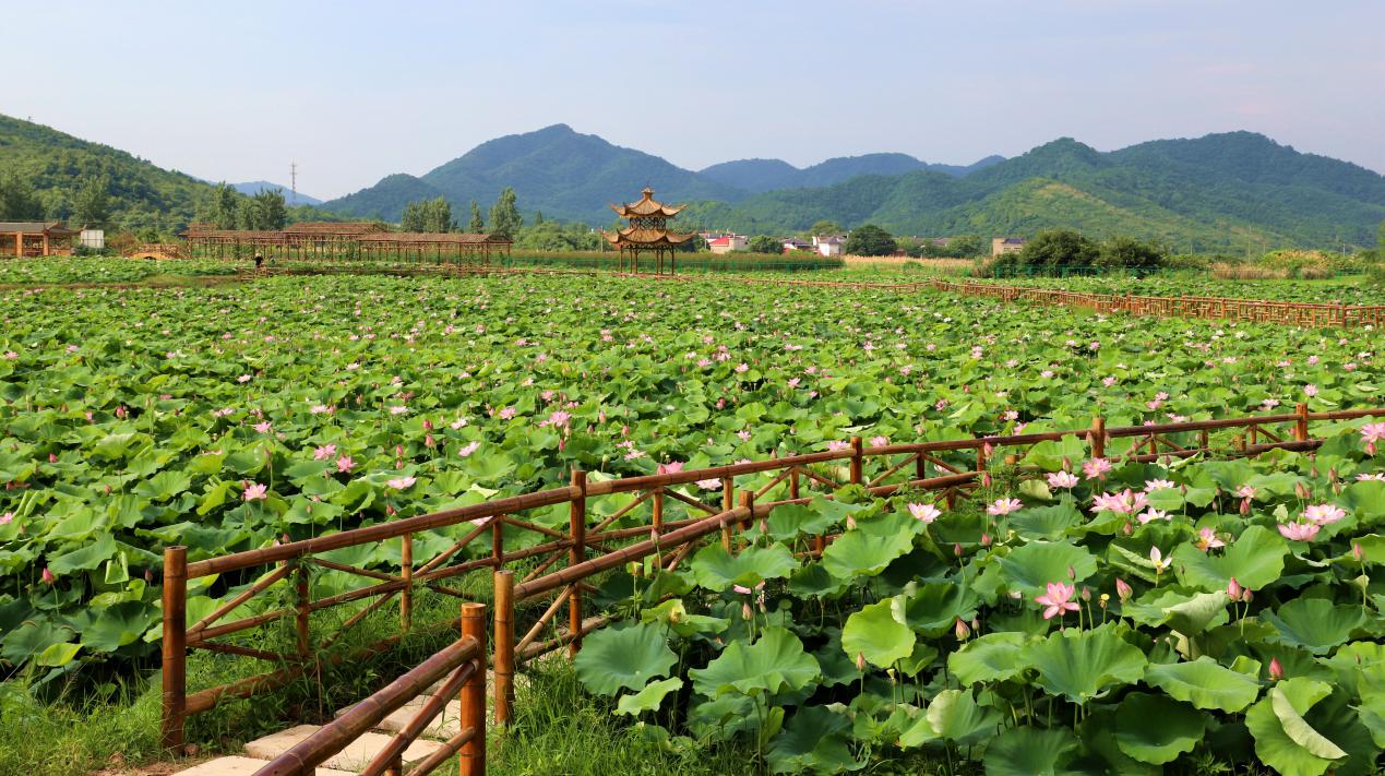 新春走基层英山,新春走基层山村别样年