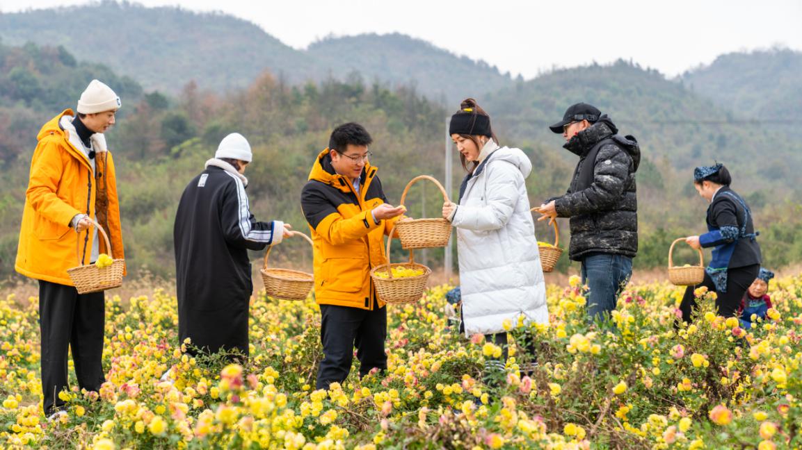 新春走基层英山,新春走基层山村别样年